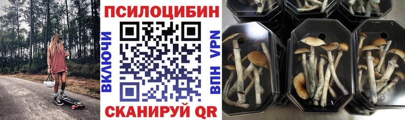 Галлюциногенные грибы мухоморы  Купить где  Ишим 