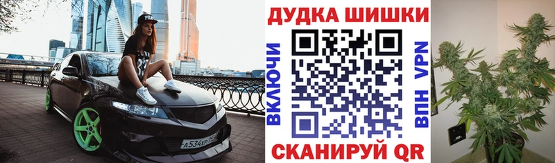Бошки Шишки THC 21%  Купить закладки  Ишим 
